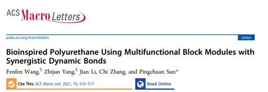 南开大学孙平川《ACS Macro Letters》生物启发的聚氨酯,具有带有协同动态键的多功能嵌段模块的图1